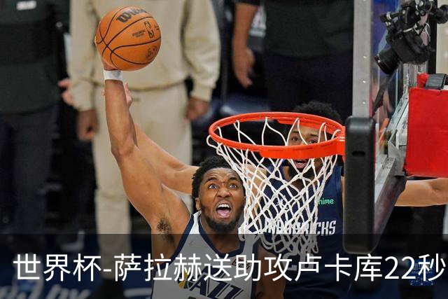 世界杯-萨拉赫送助攻卢卡库22秒造乌龙 比利时1-1埃及