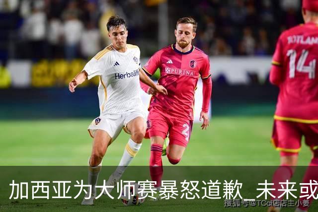加西亚为大师赛暴怒道歉 未来或导致资格取消