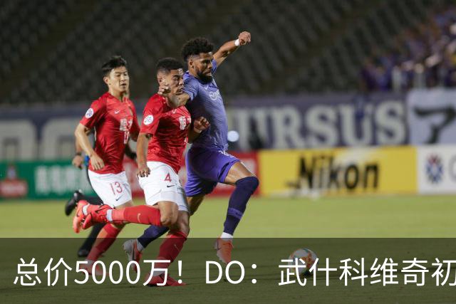 总价5000万！DO：武什科维奇初始转会费4600万镑，热刺有二转分成